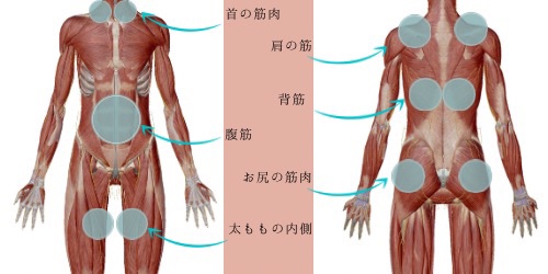 身体資料